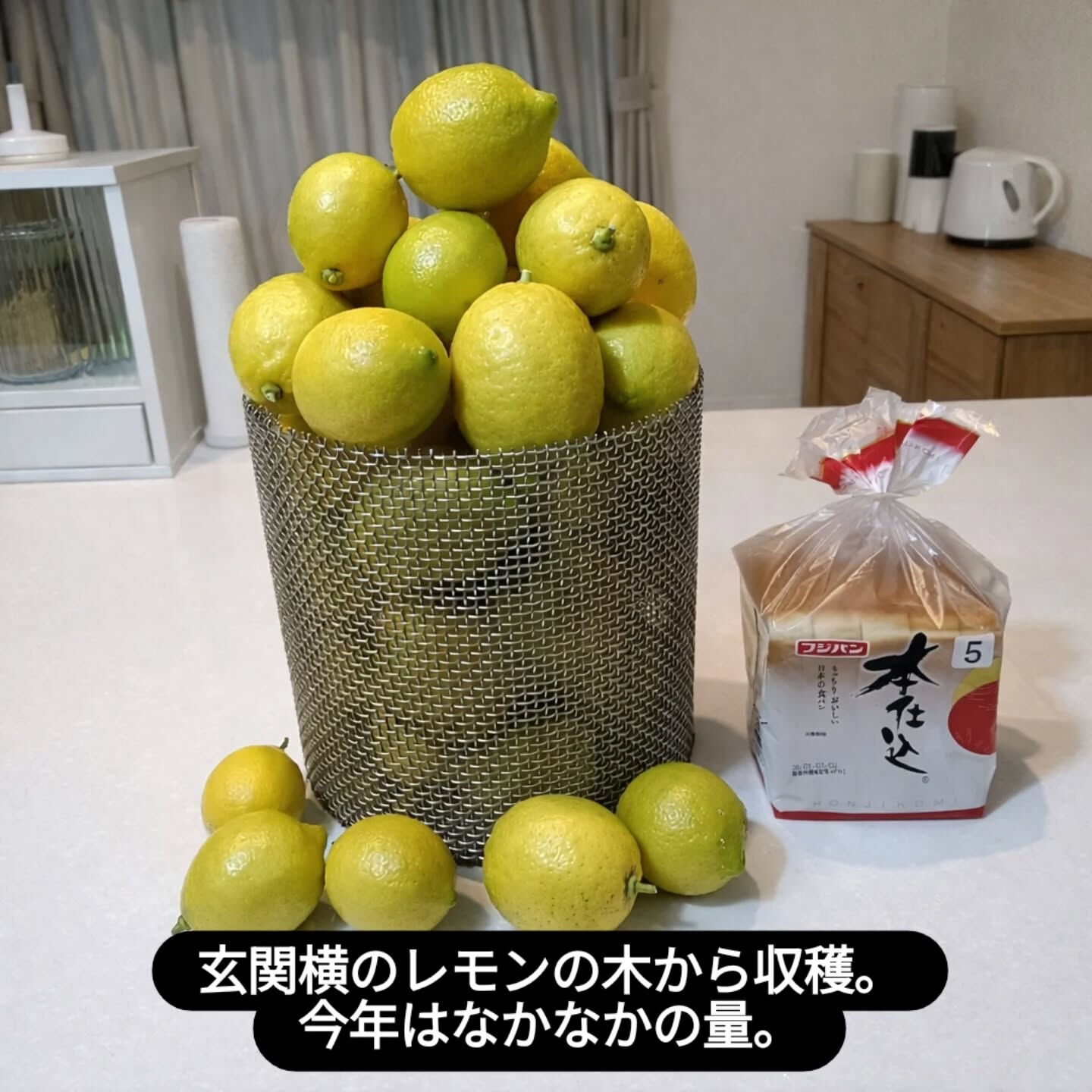 明けましておめでとうございます