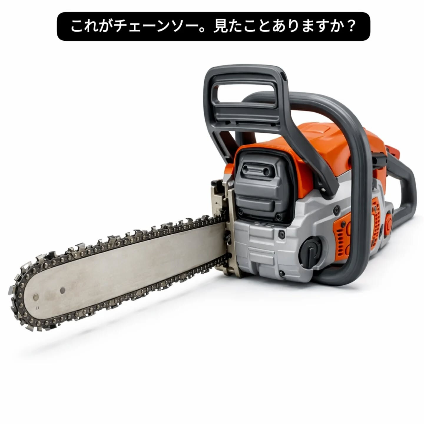 今日はチェーンソーの刃です🪵